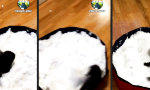 Movie : Winter für’s Indoor-Frettchen