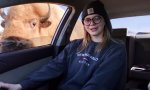 Funny Video : Neulich in New Buffalo