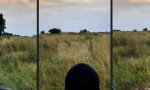 Movie : Blitzschnell abgepasst