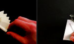 Lustiges Video : Die innere Ruhe gefunden