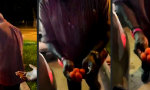 Lustiges Video - Hold my Balls!