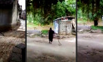 Funny Video : Stubenhocker