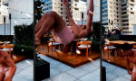 Funny Video : Salto Fatale