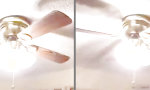 Funny Video : Die Frage des Tages