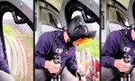 Lustiges Video : Cooler Job