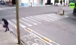 Funny Video : Zebrastreifen kennt keine Toleranz