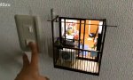 Lustiges Video : Kleines Apartment
