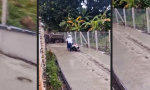 Funny Video : Wenn schon bescheuert, dann richtig