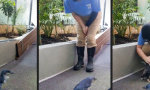 Kleiner Wonneproppen