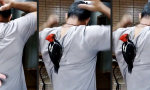 Funny Video : Nicht zu fassen