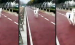 Lustiges Video - Straßenfeger macht ernst