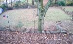 Funny Video : Wildern im falschen Revier