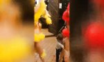 Lustiges Video : Typischer Anfängerfehler