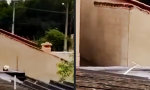 Lustiges Video - Der Hund auf dem heißen Blechdach