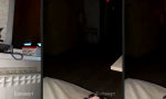 Movie : IoT Upgrade