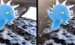 Lustiges Video : Drachen Tuning