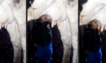 Funny Video : Frischer wird´s nicht
