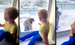 Funny Video : Die kleinen Dinge im Leben
