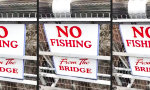 Lustiges Video : Hochseilfischen