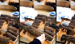 Lustiges Video : Waldfeen lieben diesen Trick