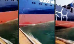 Lustiges Video : Katapult am Pier