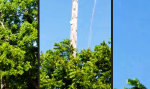 Funny Video : Nach Hause telefonieren
