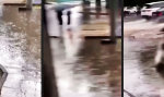 Funny Video : Mit Hochmut durch’s Hochwasser