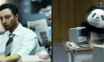 Lustiges Video : Einhalt gebieten