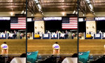 Funny Video - Der Rodeo-Joker