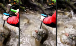 Lustiges Video - Altes Schneckenhaus