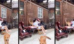 Funny Video : Langer Atem