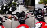 Lustiges Video : Frisch aufgegabelt