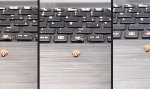 Lustiges Video - Spiderman verteidigt Keyboard