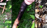 Funny Video - Da ist doch der Wurm drin