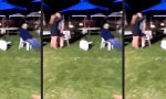 Funny Video - Flirticus Interruptus