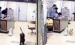 Movie : Rabbatz in der Man Cave