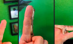 Funny Video - Etwas kamera-scheu