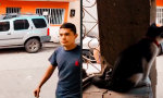 Lustiges Video : Nichts geht über kätzlichen Segen