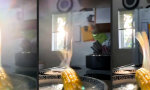 Funny Video : Der magische Maiskolben