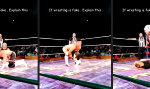 Funny Video - Wrestling Fake? Niemals!