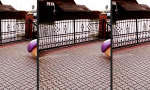 Funny Video : Hier kommt der Steifenwagen