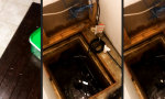 Funny Video - Hier wird Korn gepumpt