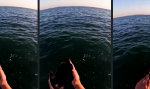 Funny Video : Natural Longsleeve