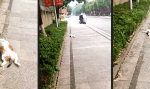 Funny Video : Siesta bleibt Siesta