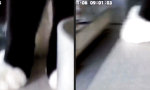 Lustiges Video - Wer bist du denn?
