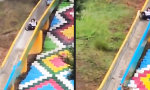 Funny Video : Abenteuer Rutsche