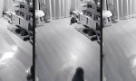 Movie : Staubsichere Mitfahrgelegenheit