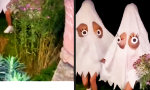 Lustiges Video : Happiest Halloween