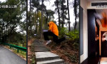 Lustiges Video : Morgensport für Luftikusse