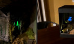 Lustiges Video : Geisterstunde im Regal